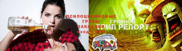 jwh Гусев
