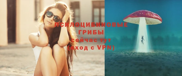 меф Гусь-Хрустальный