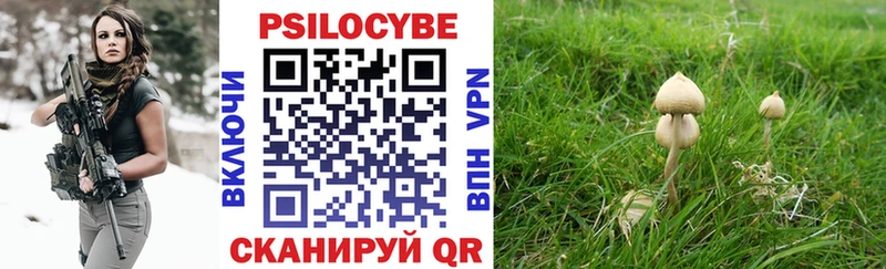 Псилоцибиновые грибы GOLDEN TEACHER Дивногорск