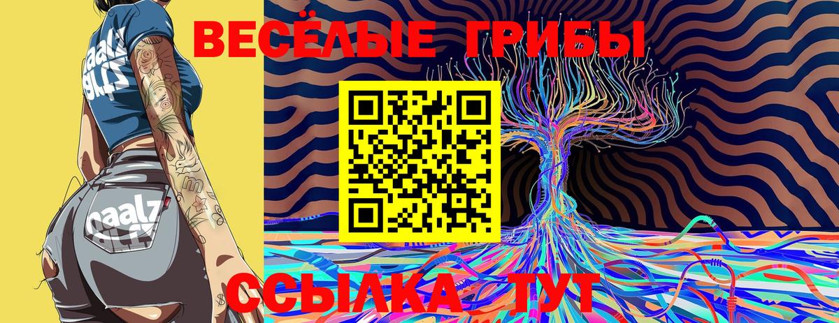 Псилоцибиновые грибы ЛСД Дивногорск